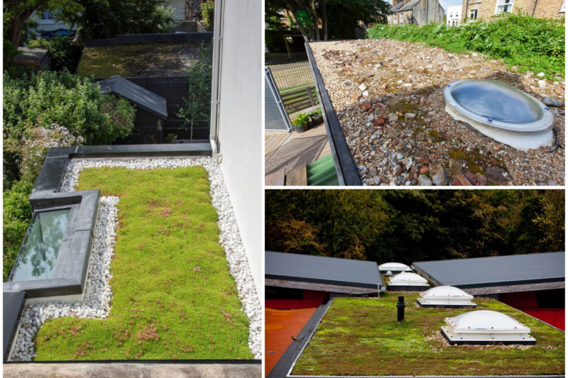 Green Roofs by Shape Architecture